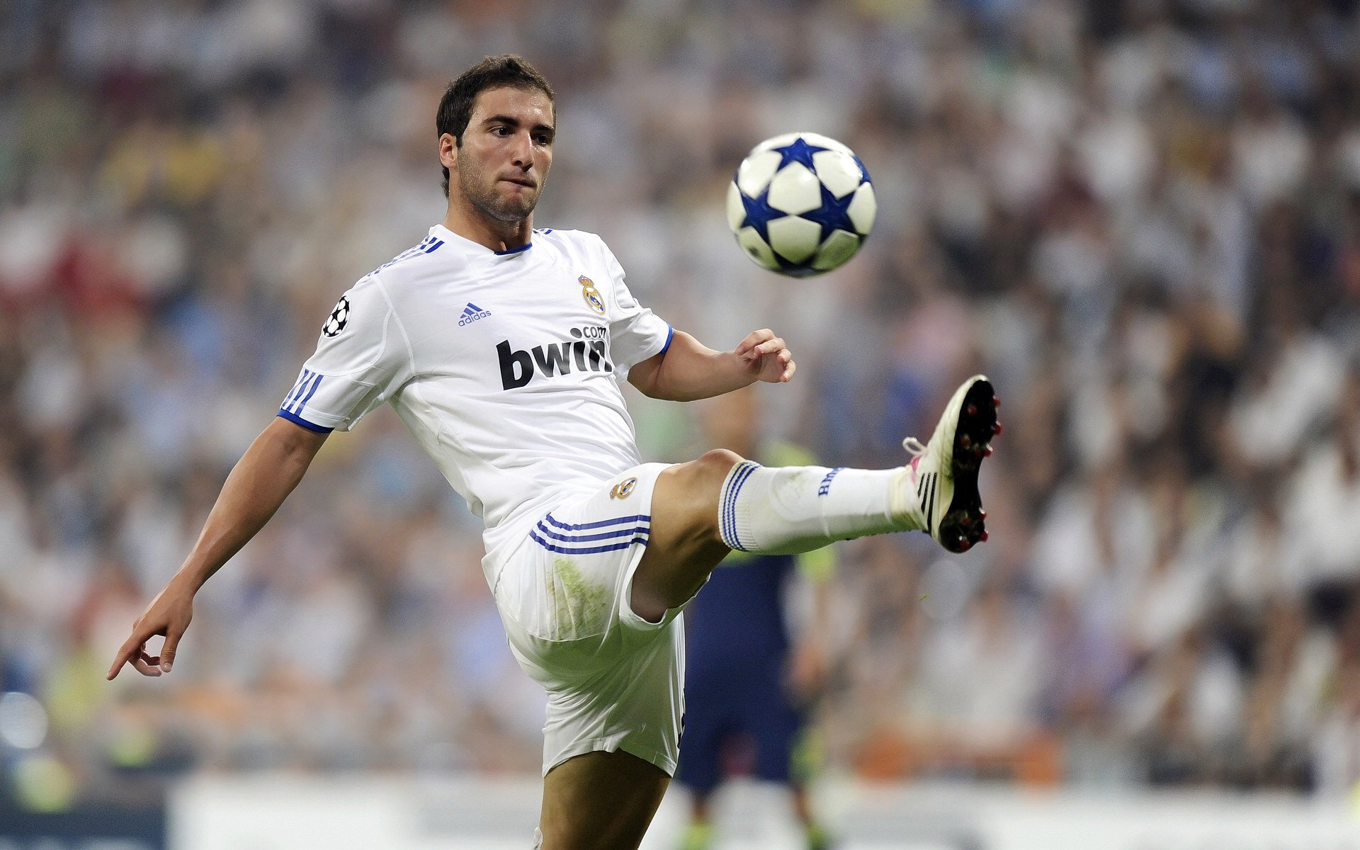 保级区变动激烈：每天上演“生死战”，保级区什么意思